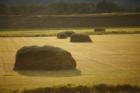 Hay stacks at a Jackson Hole Ranch.  <a href="http://www.realestatejackson.com/" mce_href="http://www.realestatejackson.com/">www.realestatejackson.com</a>