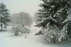 Backyard Fairyland-Winter, Ft Atkinson WI
      Sherman Ave. East Riverside Neighborhood