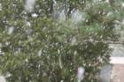 It is rare that it snows in Atlanta but when it does people go nuts! We have almost zero street preparedness so it truly does become dangerous to drive. 
