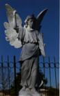Thomas Wolfe's inspiration for Look Homeward Angel - right here in Hendersonville