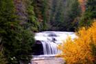 Dupont State Forest - just 15 min. from Historic Downtown Hendersonville - The Forest has hiking, biking and horse trails with numerous waterfalls.