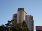 Palazzo January 2008