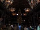 Animal Kingdom Lodge
      Walt Disney World