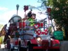 Christmas Parade
      Animal Kingdom
      Walt Disney World