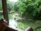 Animal Kingdom
      kilijamaro Safari
