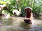 Magic Kingdom
      Hippo wading pool