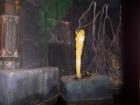 Magic Kingdom
      Jungle Cruise