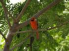 Wild Life in Wailea  <a href="http://www.garybland.com"> http://www.garybland.com</a>
      
      <a href=" http://www.realestatemaui.us/blog">Visit my Maui Real Estate weblog.</a>
