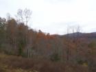 Fall photo from above Tilley Creek just below Milksick Ridge