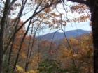 Fall mountain view off of Pressley Creek