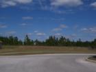 Withlacoochee State forest that backs up to Sherman Hill Community 