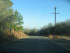 Piney Ridge road