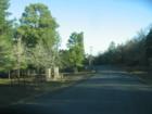 Piney Ridge Road