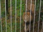 Columbus Zoo