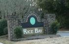 Rice Bay sub-section at Belle Hall Plantation