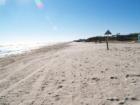 the beach! 