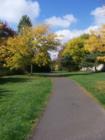 Greenway park is one of the largest parks in the Beaverton area and has plenty of things for the whole family to enjoy. 