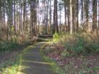 Fir Grove Park in the Highland Hills neiborhood is a great place to walk or run if you are looking for something other than a track.