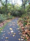 Tualatin Hills Nature park in Beaverton, Oregon 220 acres of walking paths for everyone to enjoy. (No pets allowed though)