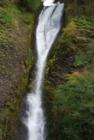 Horsetail Falls is located east of Multnomah falls and has some wonderful hiking trails for a good day hike.