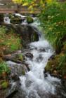 Another one of natures most beautiful hikes through the Columbia Gorge by Multnomah Falls.