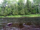 Wooded Land Is The Predominate Acreage In Bancroft Maine!