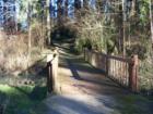 This is a picture from the walking path of Brookhaven Park in the Hart neighborhood of Beaverton, Oregon. Short little park, but a pretty walk if you are already in the neighborhood or just want to watch water foul during the summer months.