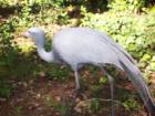 Silver Springs Birds