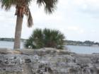 Castillo de San Marcos 