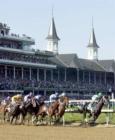 derby