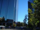 Warner Center