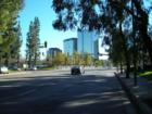 Warner Center