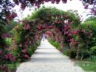 Planting Fields Rose Arbor