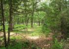 Fairmont, MN Cedar Creek Park