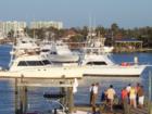 From your margarita party on the deck you can watch the Blue Marlin tournament weigh-ins.