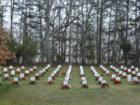 National Marine Corps Cemetery©2008. All Rights Reserved. Cindy Jones 
