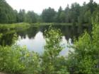 pond