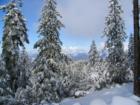 
      The Sierra Nevada mountains from Pine Ridge, Shaver Lake, CA--looking to the valley.