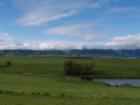 Spring view of Big Horns 
      photo by John Chase