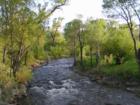 Little Goose Creek near the Bradford Brinton Memorial in Big Horn, Wyoming
      photo by John Chase