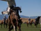 Up close and personal at the match bronc riding- Don King Days, Big Horn, Wyoming.
      Photo by John Chase