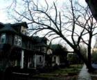 The day the old leaning oak tree finally came down on my house. Thank God there was hardly any damage to the house itself, just a dent in the soffit!
