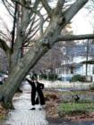 It's a good thing I was there to hold this tree up - who knows what could've happened to my house if I wasn't!!!