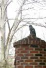 Cat statue guards a yard on Warwick