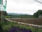 Campton Dam