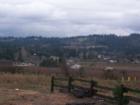 This is the view from the the parking lot of Sleighbells Christmas Tree Farm and when it starts to get dark, this is one of the best views in Washington County.
