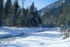 Cedar Creek in January
