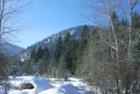 Along Cedar Creek in January