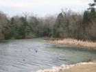 Small cove on South Shore of Lake Bastrop