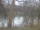 Colorado River at Webberville Park